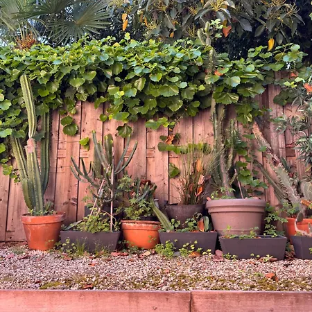 Design 100sqm Close To Palais And Restaurants Cannes